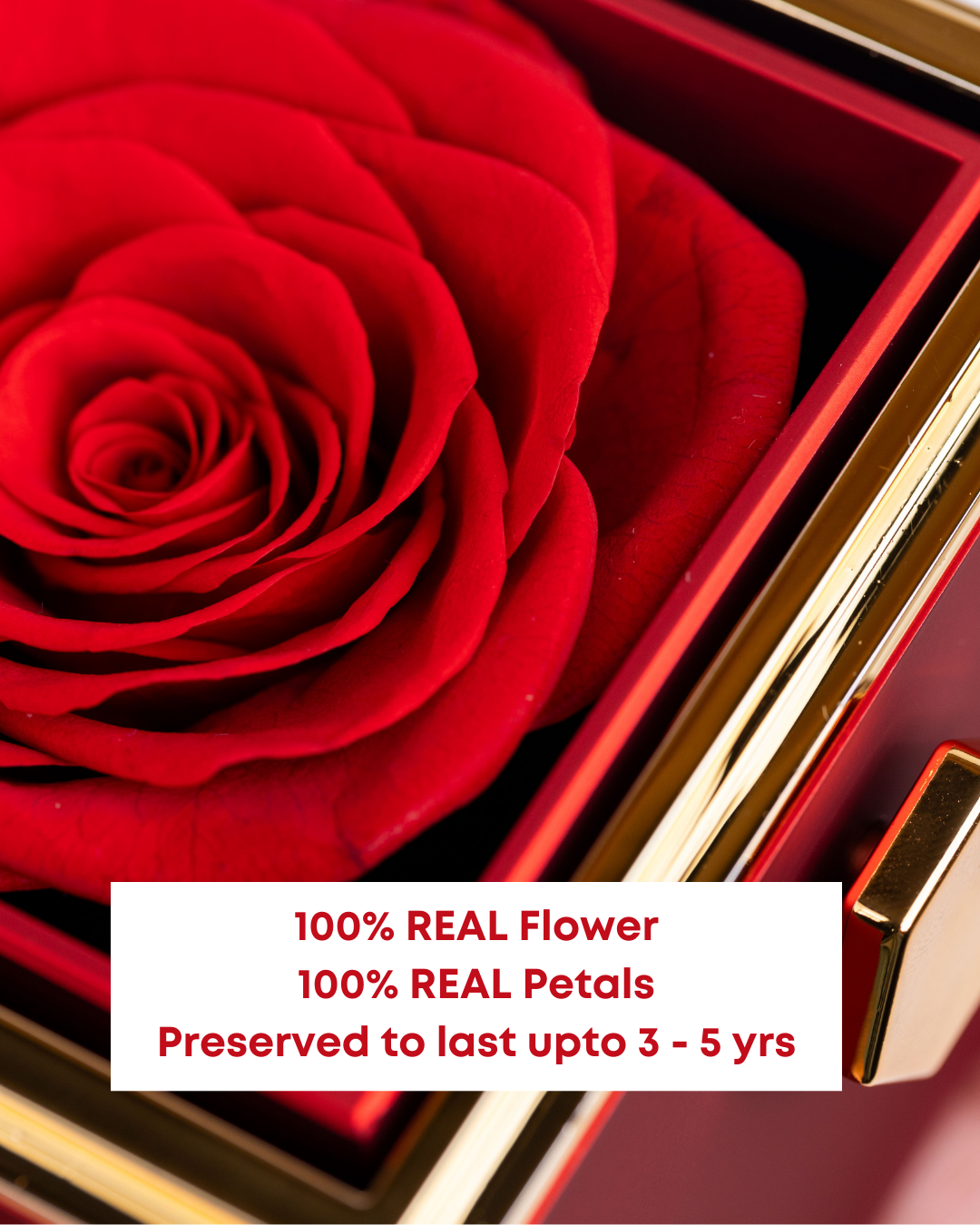 Original Preserved Rose Box & Premium Necklace